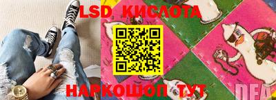 шишки Аргун