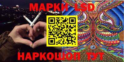 шишки Аргун