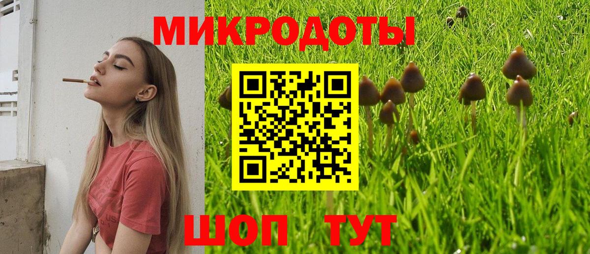 наркотики  Вход с VPN  Ачхой-Мартан  Псилоцибиновые грибы Magic Shrooms 