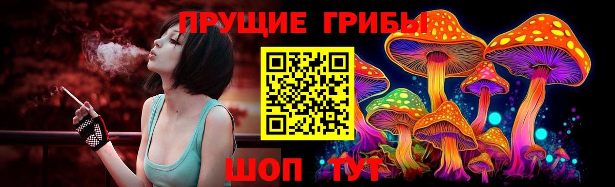 Галлюциногенные грибы GOLDEN TEACHER Ачхой-Мартан